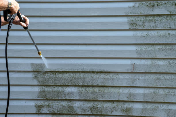 Storm Damage Siding Repair in New Orleans Station, LA